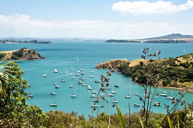 1.5h Waiheke Guided Scenic Tour in our Electric Van - The sacred eels of Omiha Road
