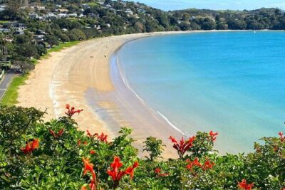 1.5h Waiheke Guided Scenic Tour in our Electric Van