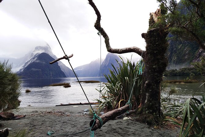 10 Day North to South Island NZ Private Tour from Auckland - Day 4: Fly south and settle into Christchurch