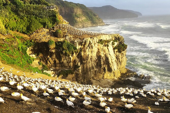 12 Day New Zealand Private Tour from Auckland to Queenstown - Key details that shape the journey