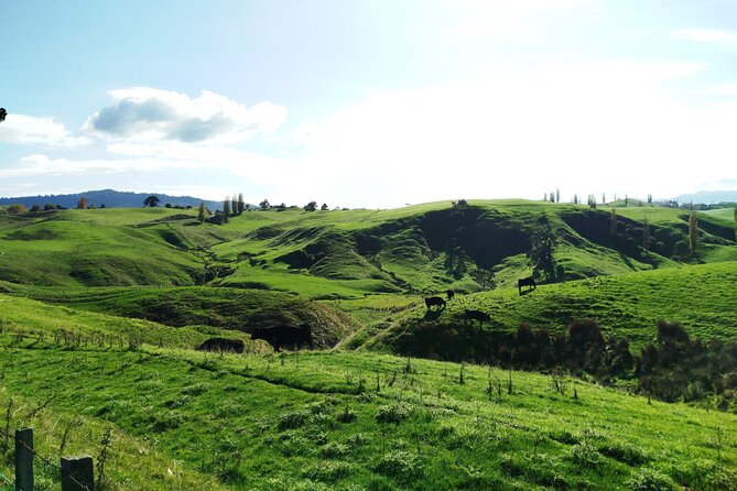 12 Day New Zealand Private Tour from Auckland to Queenstown - The Northern Explorer changes the view