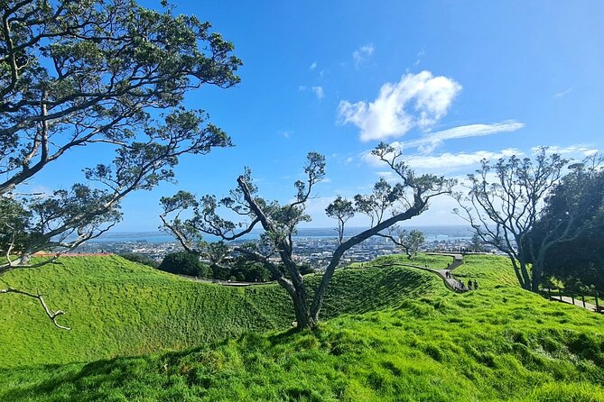 2025 Award Winning: Auckland City Highlights Half Day Tour - Small groups, pickup, and the practical side