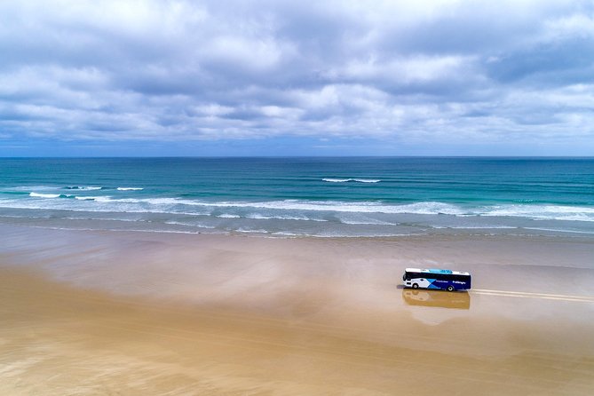 3-Day Bay of Islands Tour from Auckland - Weather, timing, and the small details that matter
