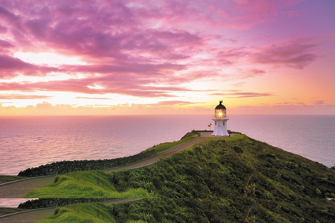 3 Day Bay Of Islands Tour from Auckland including Waitangi and Cape Reinga - Why this three-day Northland route works