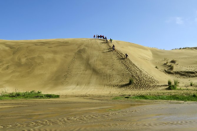 3 Day Bay Of Islands Tour from Auckland including Waitangi and Cape Reinga - The cultural visit is more than a box to tick