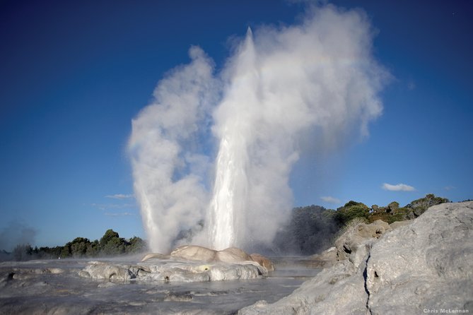 3 Day Waitomo Caves, Hobbiton Movie Set and Rotorua Tour from Auckland - Te Puia brings geothermal activity and Māori culture together
