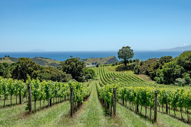 4.5-Hour Scenic Wine Tour with Private Guide & Up to 12 Tastings - How much value do you get for $161.35?