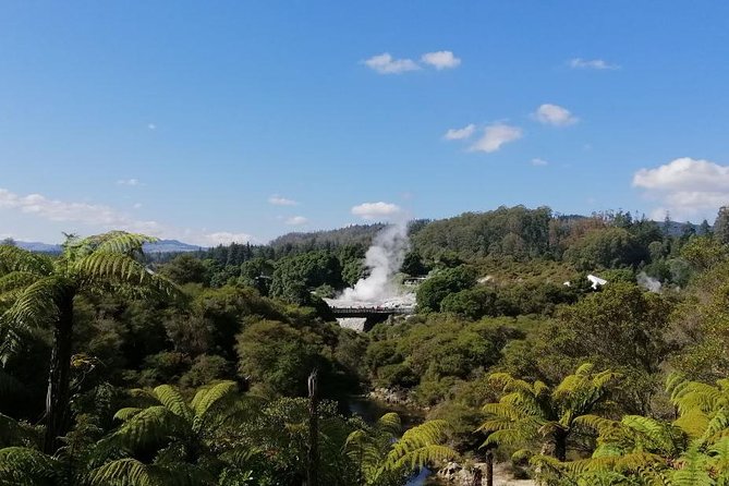 4-Day Auckland to Wellington via Rotorua Tour - Day two: Whakarewarewa’s geothermal and Maori setting