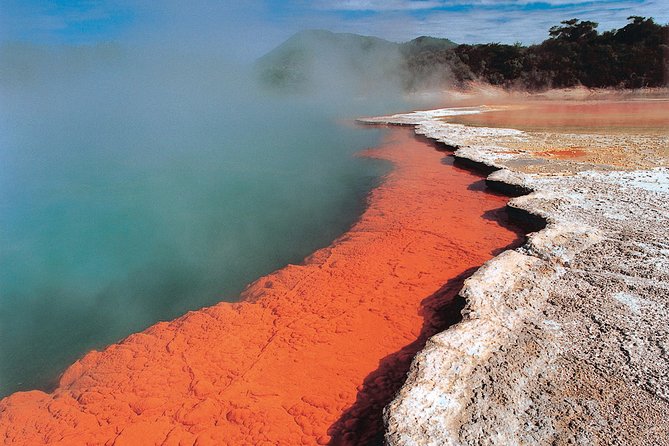 4-Day Auckland to Wellington via Rotorua Tour - Independent touring means changing guides and vehicles