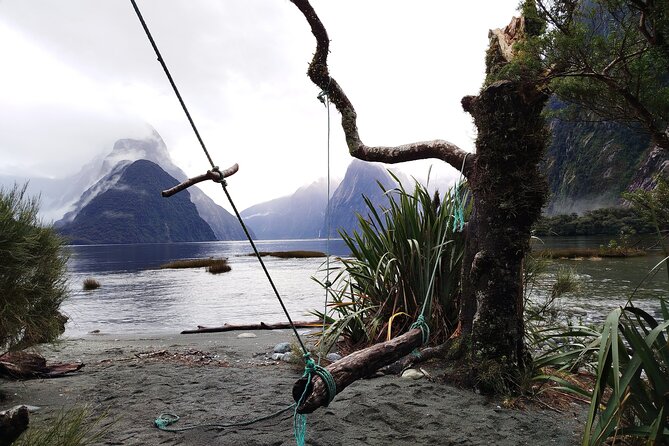 4 Day Tour to Milford Sound, Mount Cook & More from Auckland - The TranzAlpine train into Christchurch