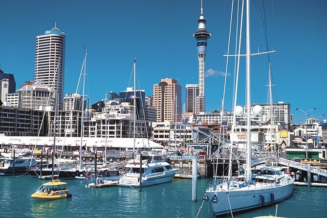 5-Day Bay of Islands, Auckland, Hobbiton, Rotorua & Waitomo Tour - Day 3: Auckland’s volcanoes, harbor views, and free time