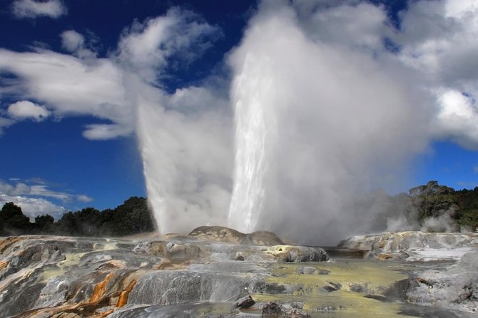 5-Day New Zealand North and South Island Highlights Tour - Day 4: Cook Strait and the Marlborough Sounds