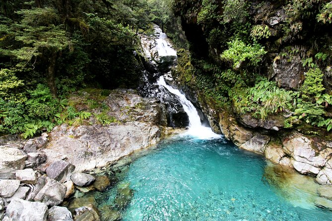 6 Day South Island New Zealand Private Tour from Auckland - Day 5: Milford Sound or Doubtful Sound from Queenstown