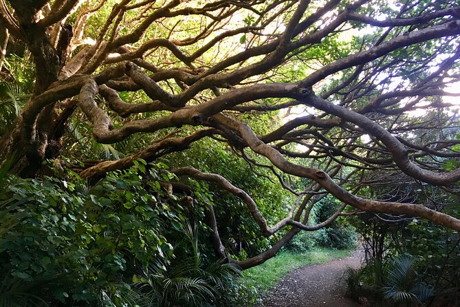 6 Hours Sightseeing Tour in Auckland - Key points at a glance
