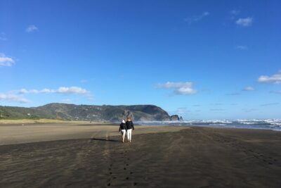 6 Hours Sightseeing Tour in Auckland