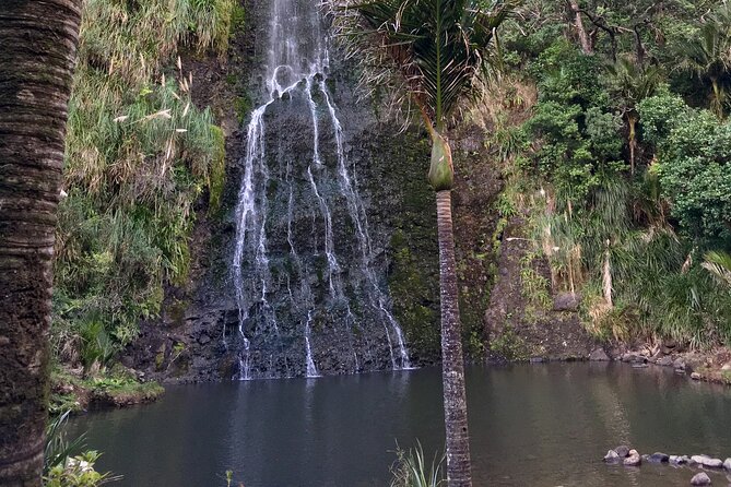 6 Hours Sightseeing Tour in Auckland - Wine tasting at Soljans or a stop at Hallertau
