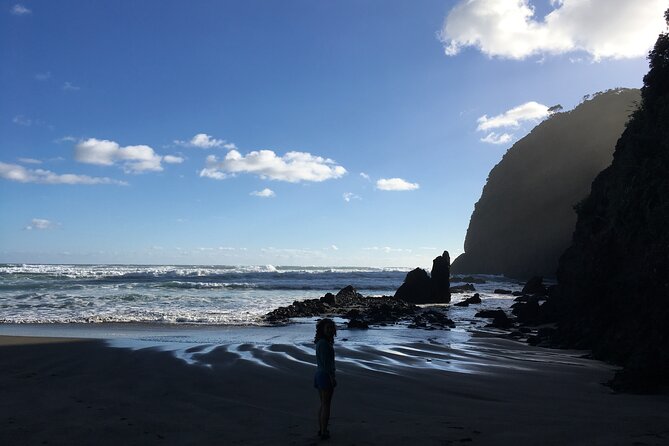 6 Hours Sightseeing Tour in Auckland - Who should book this tour