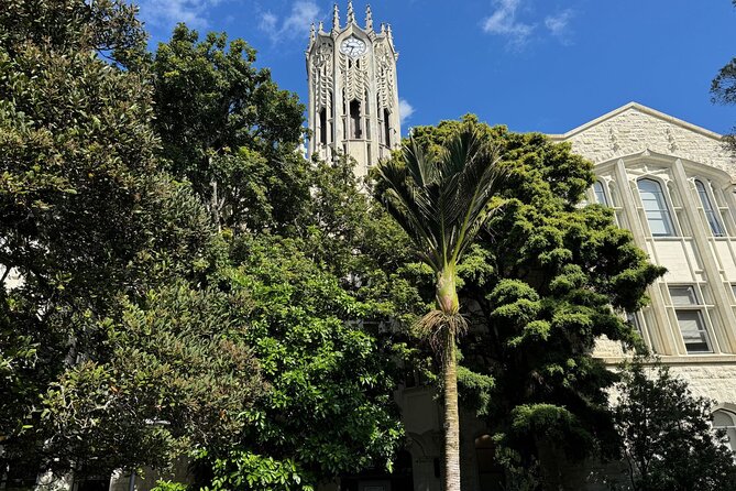 A Self-Guided Walking Tour of Auckland's Hidden Stories - Timing, walking pace, and comfort