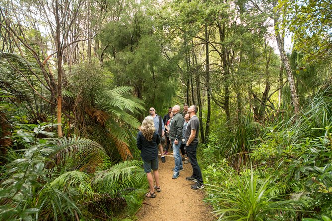 Afternoon Piha Beach and Rainforest Tour from Auckland - Piha Beach and its black volcanic sand