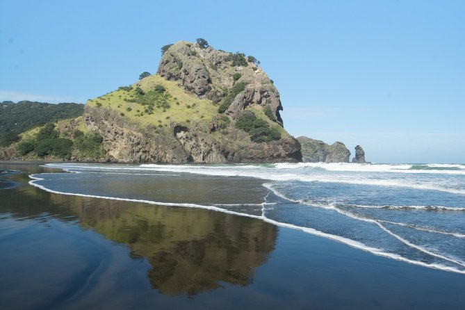 Afternoon Piha Beach and Rainforest Tour from Auckland - Guides who add value to the ride
