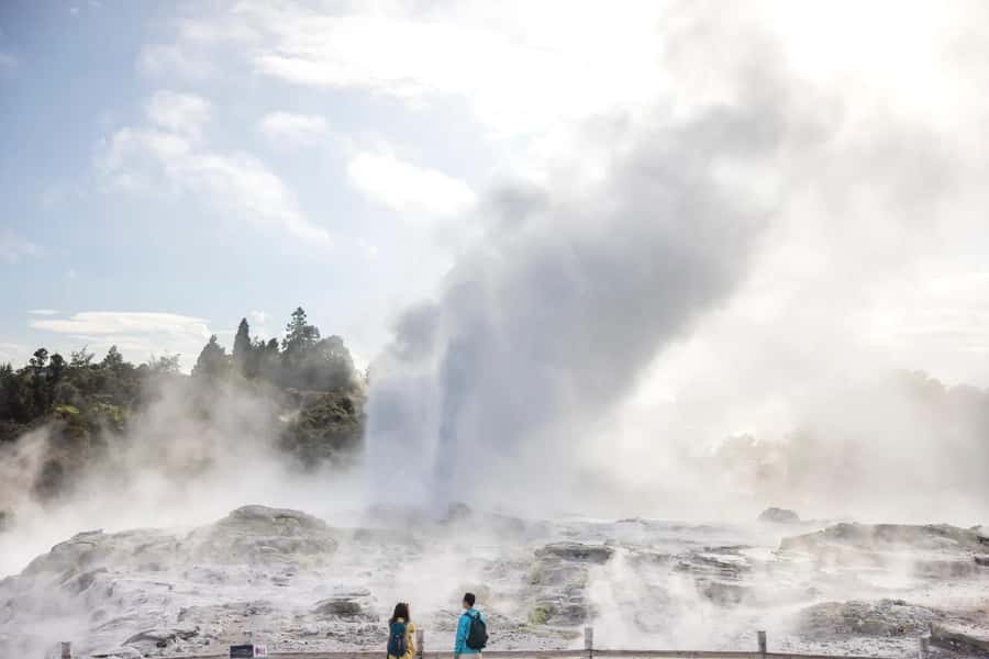 AKL: Te Puia Maori Haka, Kiwi Birds, Redwood & Blue Springs - Key points to know before booking