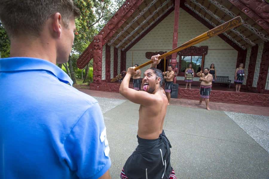 Auckland: 2-Day Bay of Islands Small Group Tour with Cruise - Waitangi Treaty Grounds puts New Zealand history in context