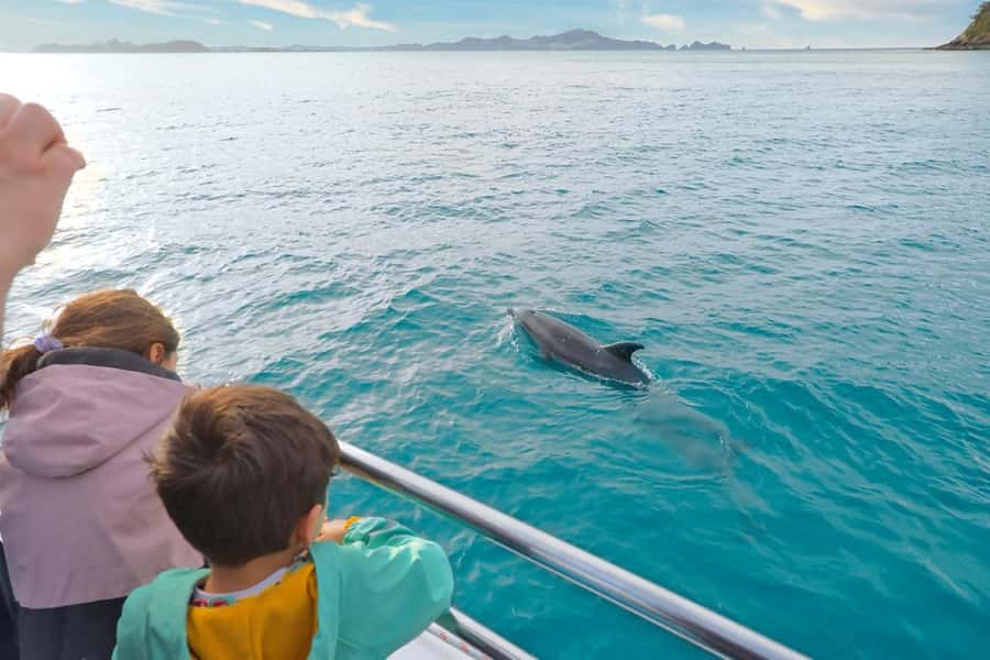 Auckland: 2-Day Bay of Islands Small Group Tour with Cruise - The return to Auckland is part of the value