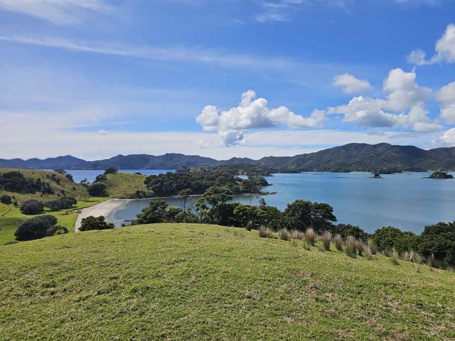 Auckland: 2-Day Bay of Islands Small Group Tour with Cruise - Should you book the Bay of Islands tour?