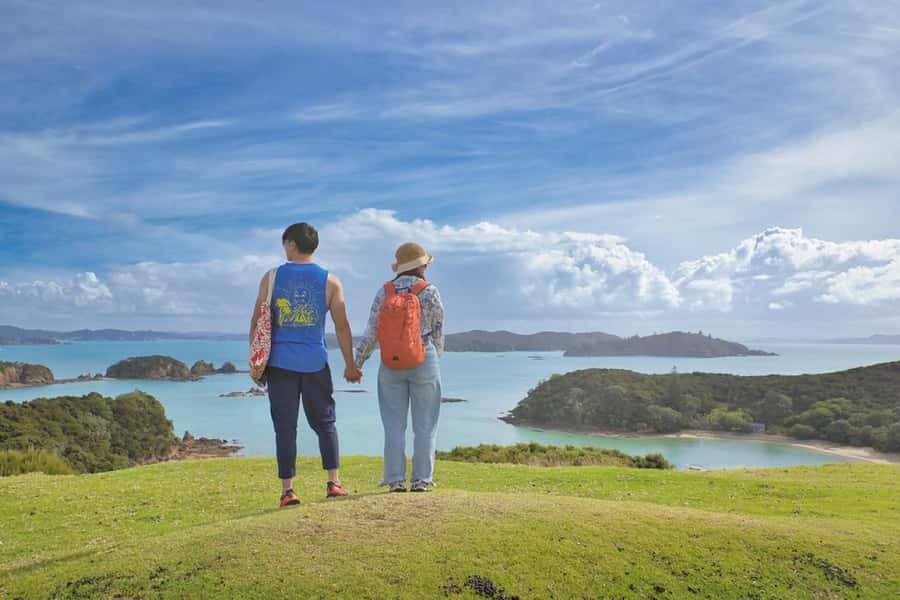 Auckland: 2-Day Bay of Islands Small Group Tour with Cruise - Day one: Auckland to the ancient kauri forest