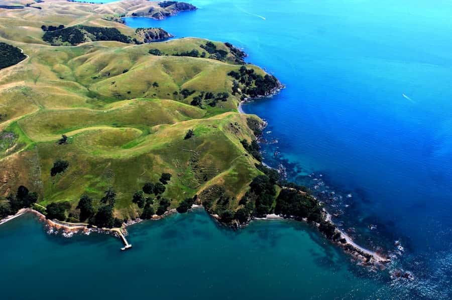 Auckland: Auckland City & Hauraki Gulf Scenic Flight - What the small plane feels like