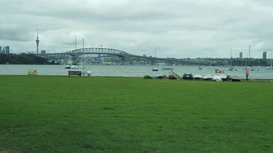 Auckland: Auckland City Tour 4 hours private - Auckland Domain, gardens, and the museum