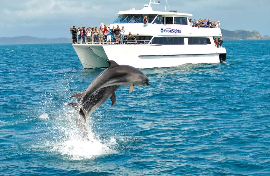 Auckland: Bay of Islands Day Tour with Dolphin Cruise - Who will enjoy this day most