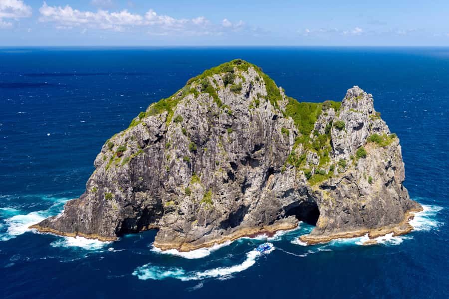 Auckland: Bay of Islands Day Tour with Dolphin Cruise - Practical ways to make the day better