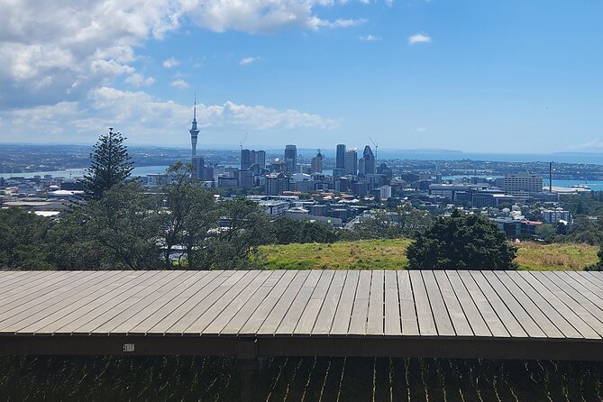 Auckland Best Top 5 Spots Half day Tour - Why this compact Auckland tour works