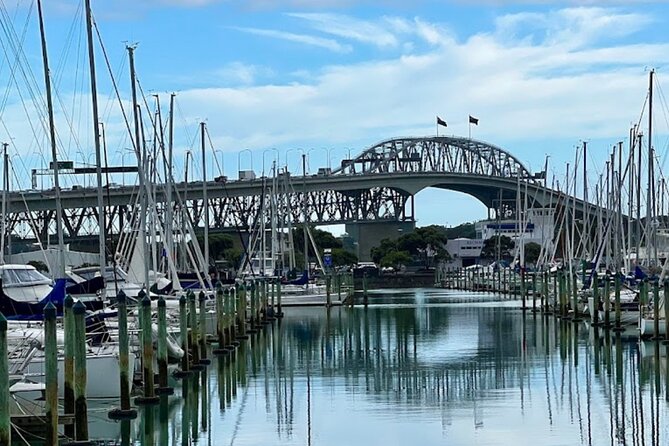 Auckland Best Top 5 Spots Half day Tour - The Domain Wintergardens for a cooler-weather break