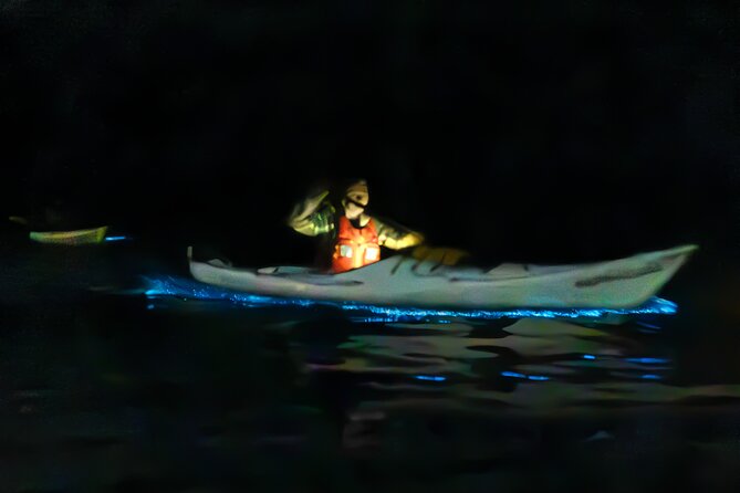 Auckland Bioluminescence Kayak Tour - Key points before you book