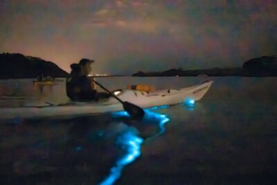 Auckland Bioluminescence Kayak Tour