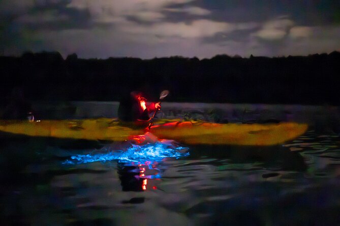 Auckland Bioluminescence Kayak Tour - Who will enjoy this Auckland night tour?