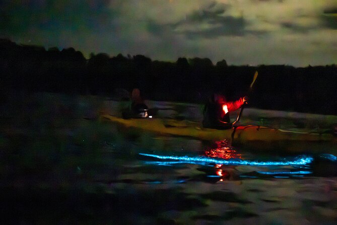 Auckland Bioluminescence Kayak Tour - What to know about weather and cancellation