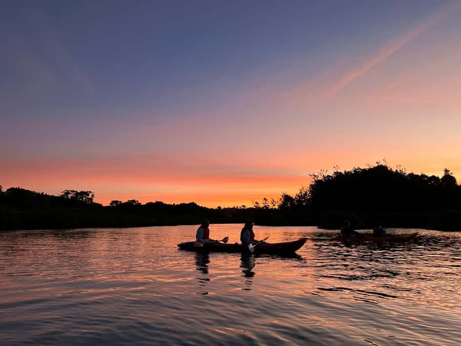Auckland: Bioluminescence Kayak Tour with Guide - Key points before you book