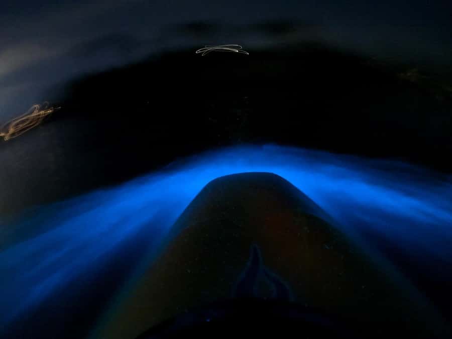 Auckland: Bioluminescence Kayak Tour with Guide - What the two-hour length really means