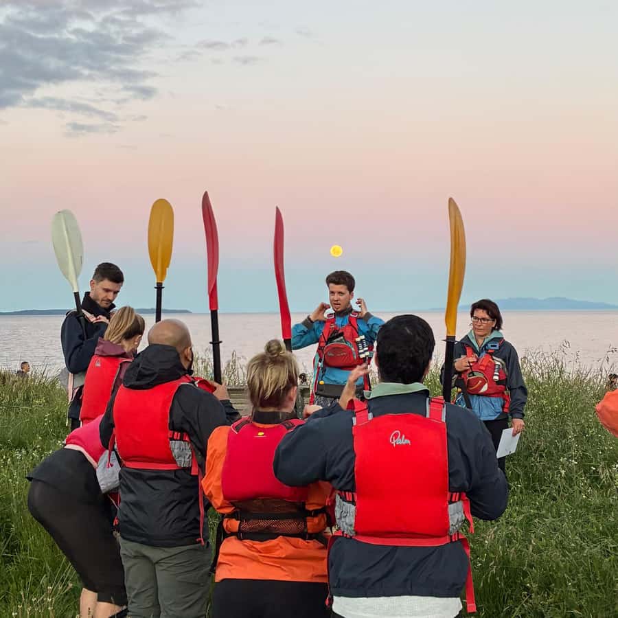 Auckland: Bioluminescence Kayak Tour with Guide - Price, value, and the transport question