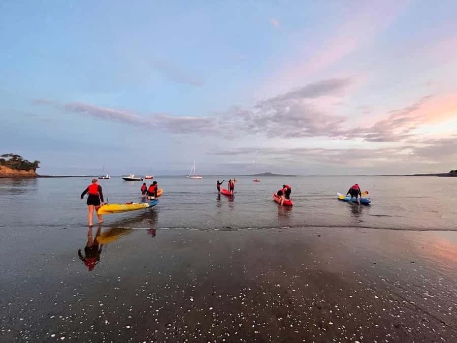 Auckland: Bioluminescence Kayak Tour with Guide - Who will enjoy this night paddle