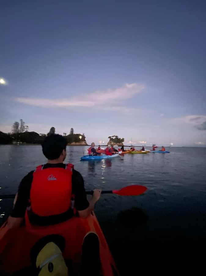 Auckland: Bioluminescence Kayak Tour with Guide - The drawbacks you should take seriously