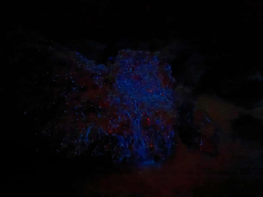 Auckland: Bioluminescence Kayak Tour with Guide - Getting ready at the North Shore
