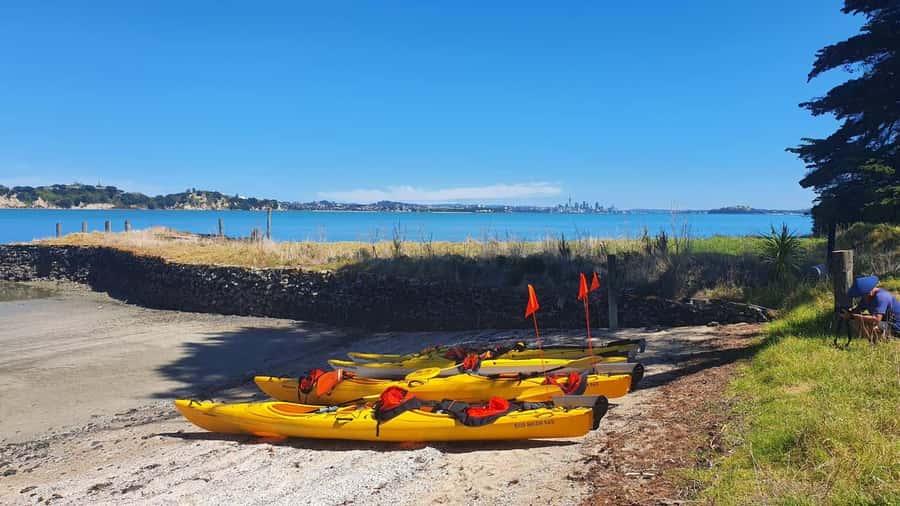 Auckland: Browns Island (Motukorea) Sea Kayak Tour - Should you book the Browns Island kayak tour?