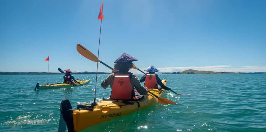 Auckland: Browns Island (Motukorea) Sea Kayak Tour - The crossing to Motukorea