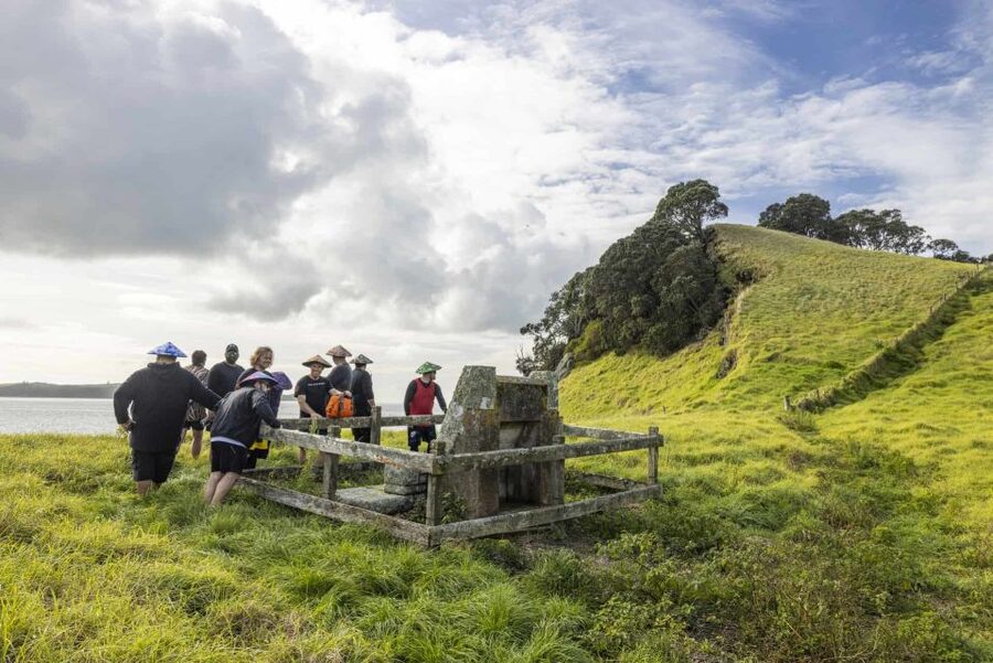 Auckland: Browns Island (Motukorea) Sea Kayak Tour - Landing on a 25,000-year-old volcanic island