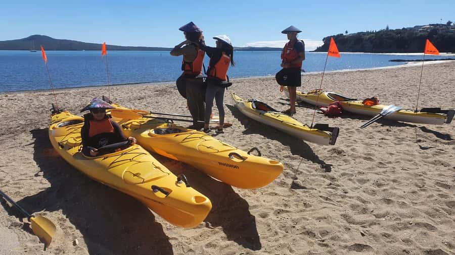 Auckland: Browns Island (Motukorea) Sea Kayak Tour - Guides, instruction, and the feel of the outing
