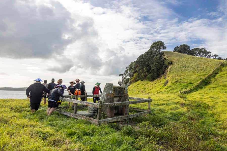 Auckland: Browns Island (Motukorea) Sea Kayak Tour - Who will enjoy this most